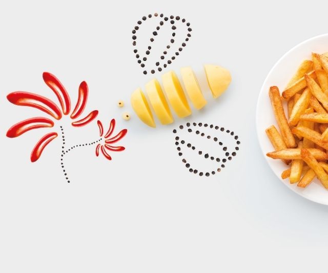 Appareil cuisson friteuse